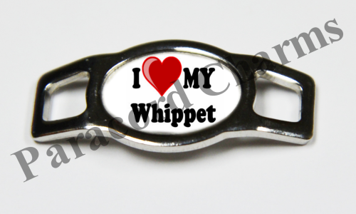 Whippet #006