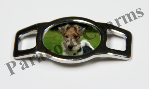 Wire Fox Terrier #003