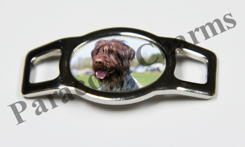 Wirehaired Pointing Griffon #002  - Click Image to Close