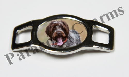 Wirehaired Pointing Griffon #004