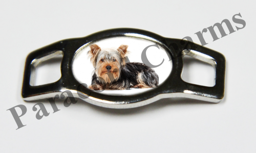 Yorkshire Terrier #007